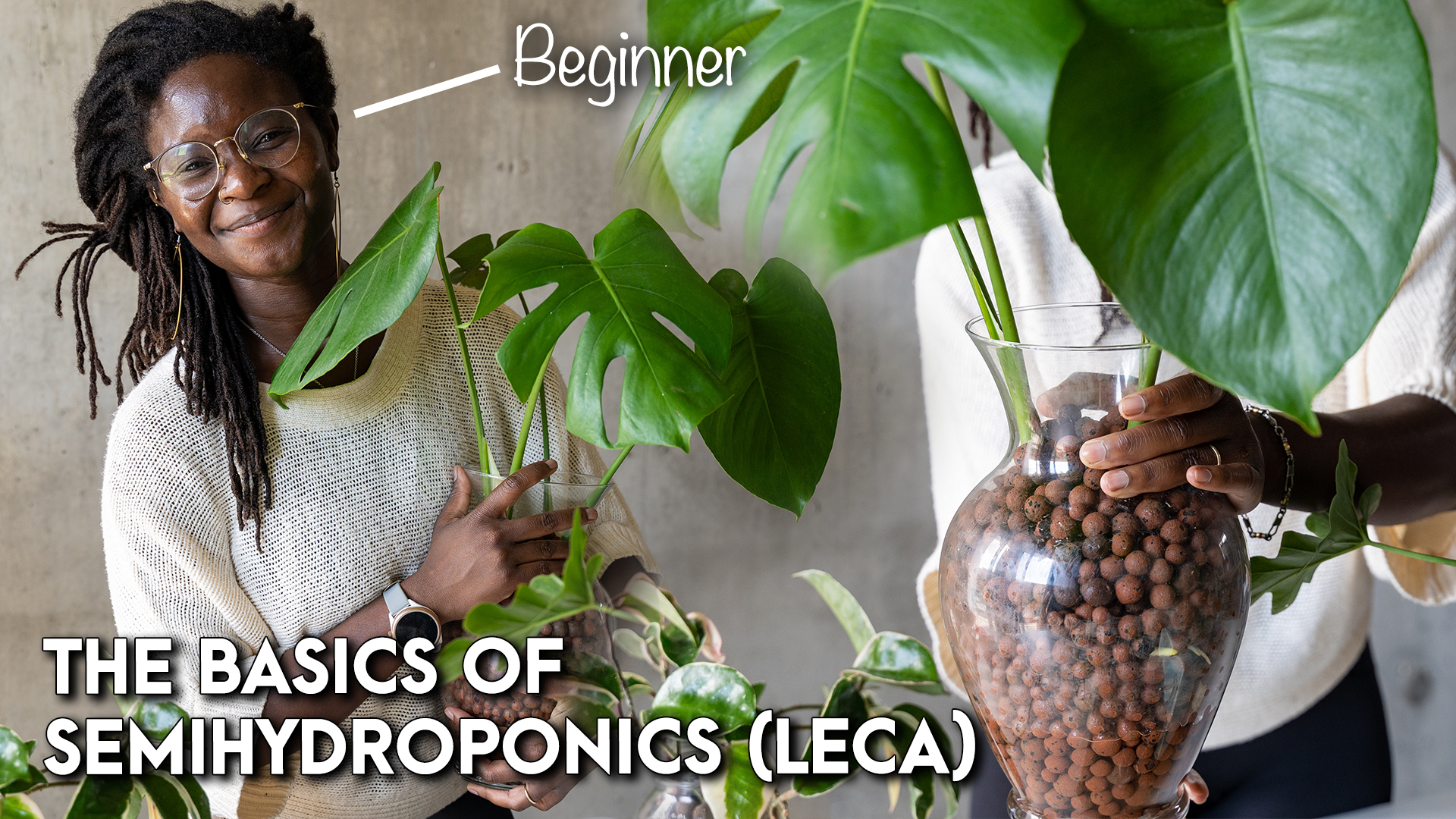 Semihydroponics & LECA basics
