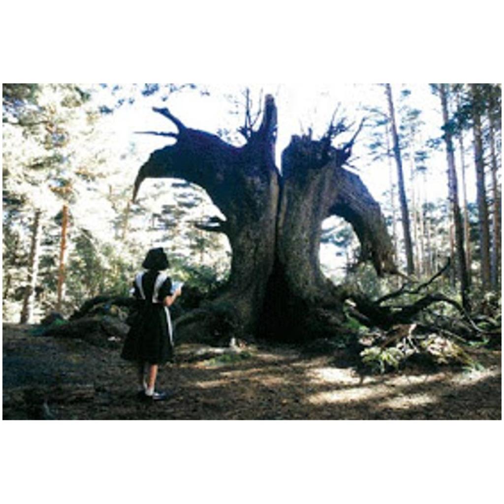 Pans Labyrinth Mp4 Movie Download Portable