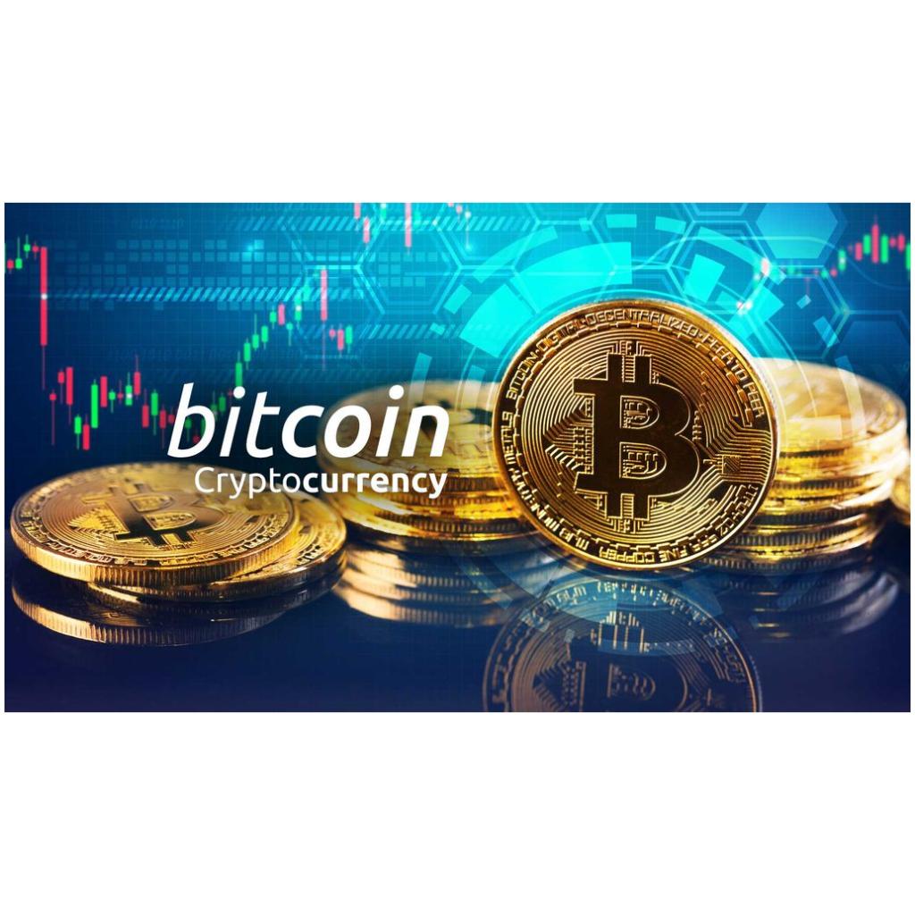 Elon Free Bitcoin Generator Without Transaction Fee Elon Free Bitcoin Generator Without Transaction Fee