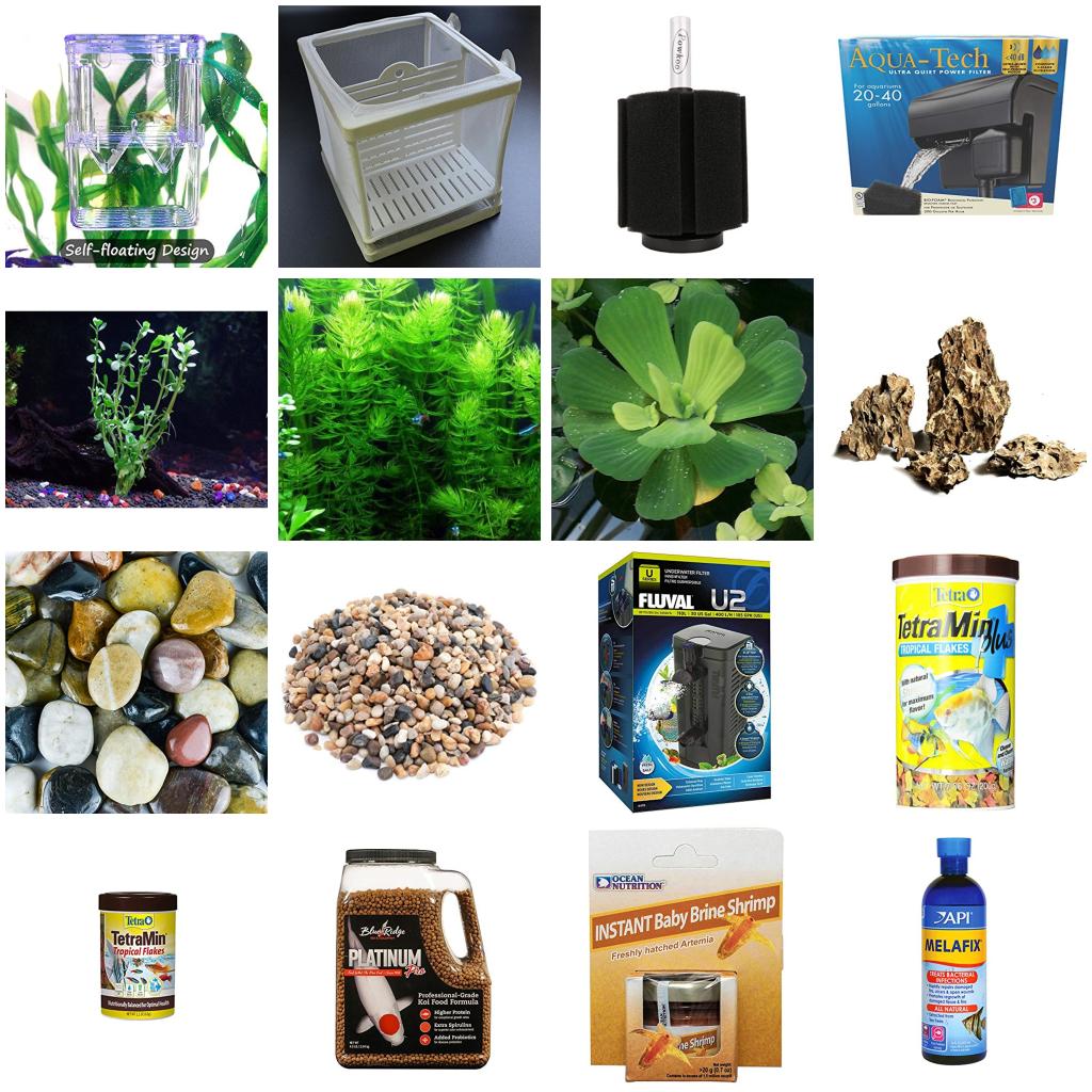 Aquarium set up